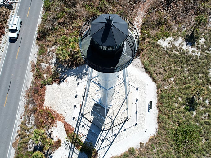 Top of the world, Ma! The lighthouse offers views so stunning, even seagulls stop to admire them.