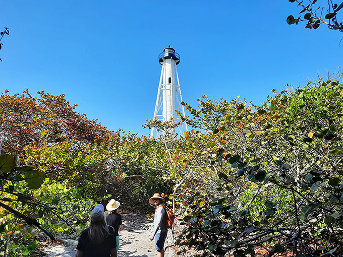 Nature's red carpet! This trail through lush greenery leads to the star of the show – our beloved lighthouse.