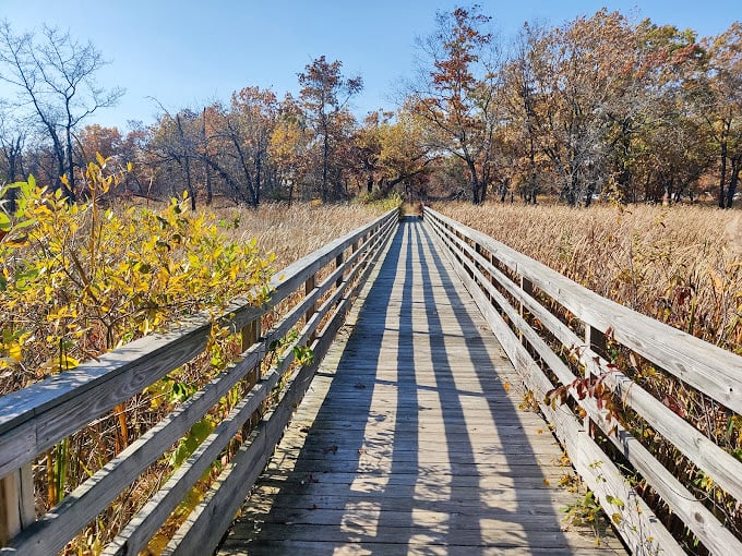 Autumn's golden path: This boardwalk through fall foliage is like walking through a Bob Ross painting come to life.