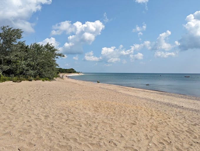 Sandy toes and salty dreams: Who needs the ocean when Lake Michigan serves up beach vibes with a Midwest twist?