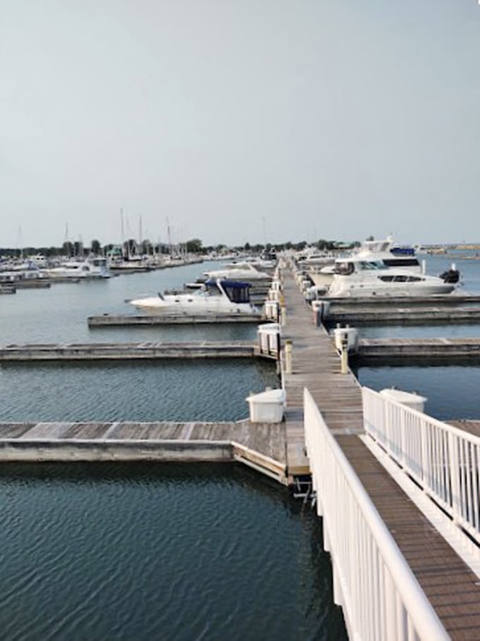 Boater's paradise: This marina is where weekend captains channel their inner Popeye, minus the spinach.