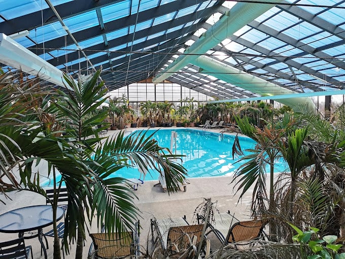 Tropical oasis, Midwest style: This indoor pool area is like a slice of Hawaii, minus the long flight and lei obligations.