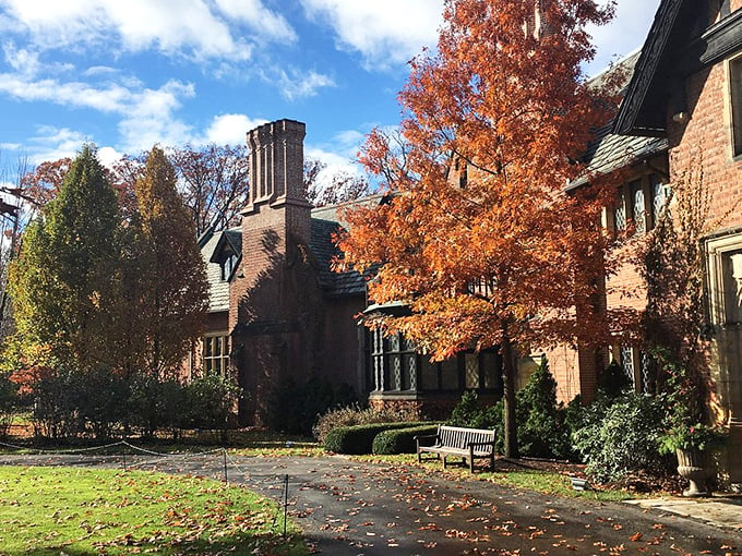 "Autumn's paintbrush at work!" Nature's own Monet transforms Stan Hywet into a canvas of fiery hues, creating a scene straight out of a New England postcard.