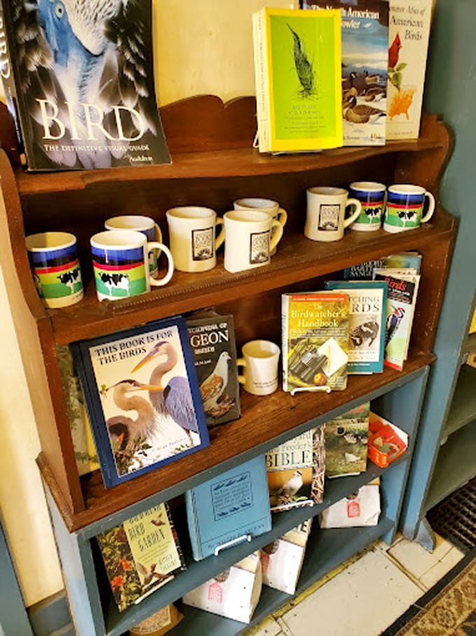 Mugs and books: the dynamic duo of rainy day comfort. Add a splash of Vermont charm, and you've got yourself a Norman Rockwell painting come to life.