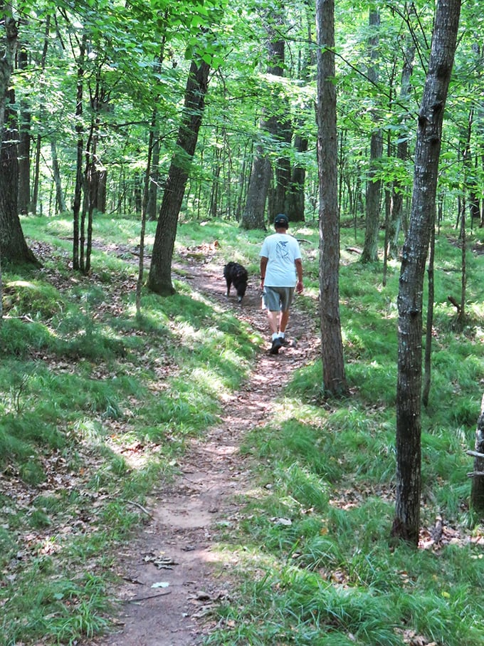 Man's best friend leads the way through nature's obstacle course. Who needs a gym when you've got these trails?