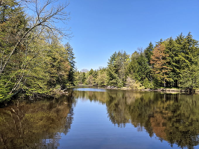 Mirror, mirror on the water: A view so perfect, even Bob Ross would be jealous. Time to channel your inner artist!