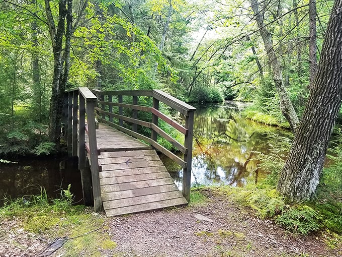 Bridge over tranquil waters: Not troubled, just incredibly relaxed. It's like yoga for your eyes and soul combined.