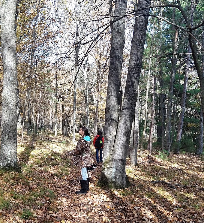 Family tree huggers unite! These woods are like nature's playground – no Wi-Fi, but plenty of connection.