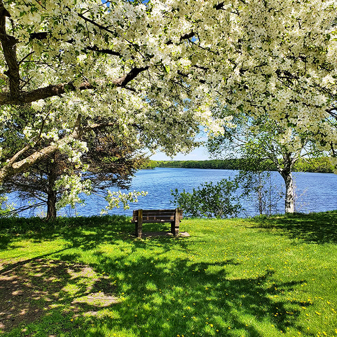 The best seat in the house: Front row tickets to nature's greatest hits, featuring chart-toppers like "Rustling Leaves" and "Gentle Waves."