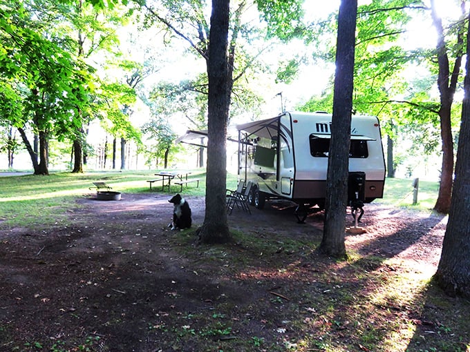 Glamping goals: Where "roughing it" means your Wi-Fi might be a little slow. It's like a 5-star hotel, but with more stars.