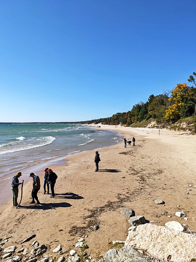 Beach day, Wisconsin style! Where else can you build sandcastles and spot bald eagles in the same afternoon?