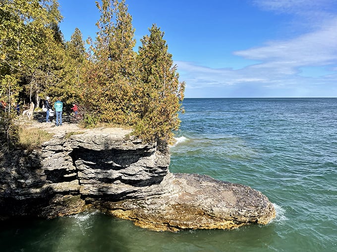 Cliffside views that'll make your Instagram followers green with envy. Just remember: no selfie is worth becoming a cautionary tale!