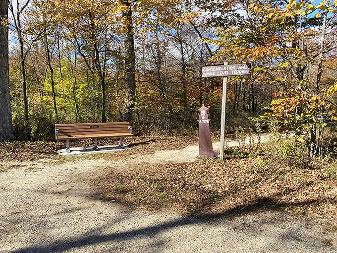 Take a load off on nature's front porch. This bench offers million-dollar views without the pesky property taxes.