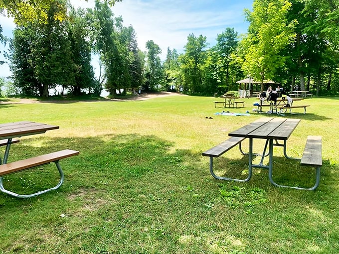 Picnic tables with a view? Check. Now all you need is a spread worthy of this natural dining room.