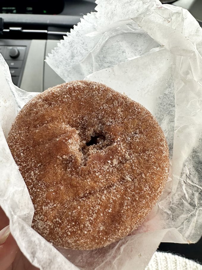 Meet the apple cider donut, autumn's MVP! It's like biting into a crisp fall day, if that day was dusted with cinnamon sugar.