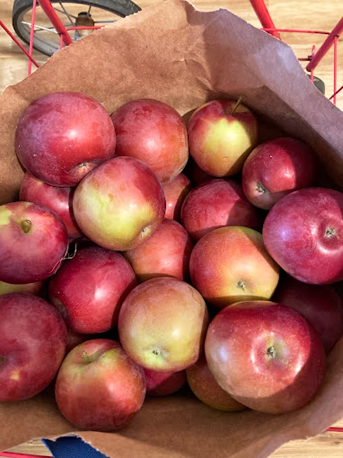 Nature's candy, fresh from the tree. These apples are so perfect, they make Snow White's look like convenience store fruit.