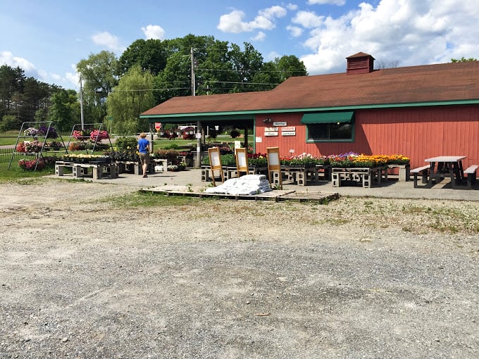 Farm-fresh produce, straight from the source. This outdoor market is where "farm-to-table" isn't just a buzzword – it's a way of life.