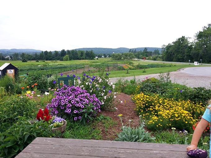 A view that'll make you want to quit your day job and become a farmer. Mother Nature showing off her green thumb in all its glory.