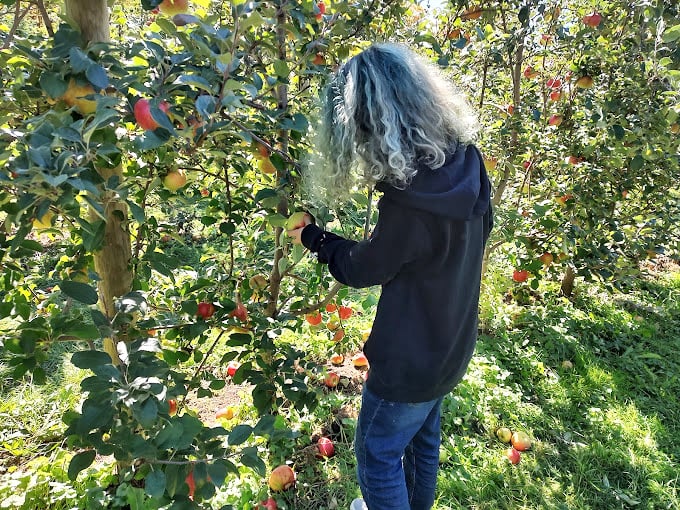 Who needs a gym when you can do the apple-picking stretch? A day in the orchard is good for the soul and your fruit bowl.