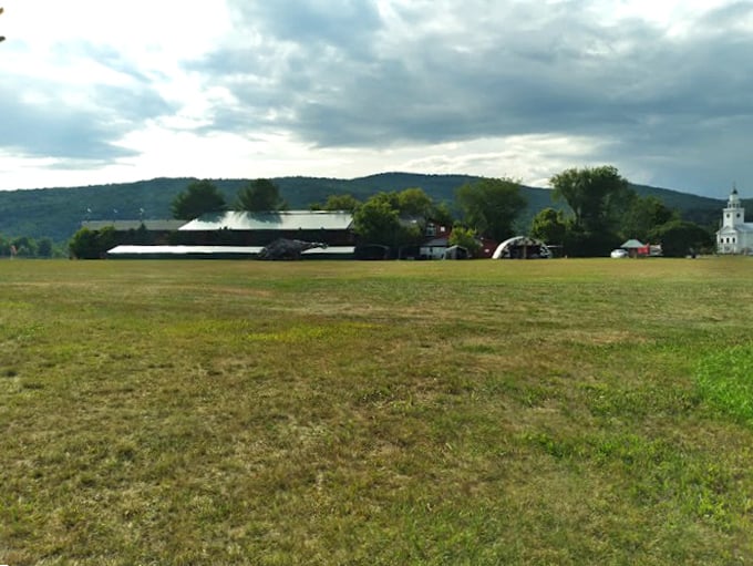 Who needs Stonehenge when you've got this? A grassy field that's seen more action than a squirrel at a nut convention. What stories it could tell!