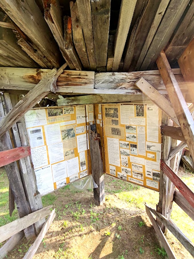 History's scrapbook comes alive! This makeshift museum could give the Smithsonian a run for its money in the 'charming clutter' department.