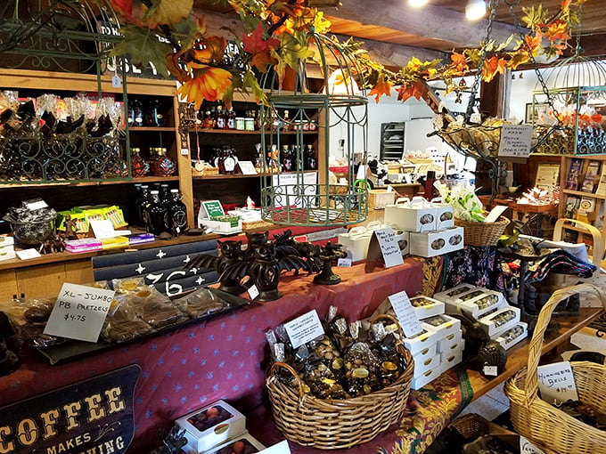 Step into a world where Willy Wonka meets Vermont charm. Shelves brimming with treats, autumn decor, and that intoxicating aroma of chocolate – it's sensory overload in the best way possible.