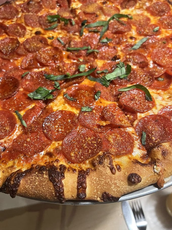 Pepperoni pizza perfection! Each slice is a crispy, cheesy canvas, generously dotted with savory circles of joy.