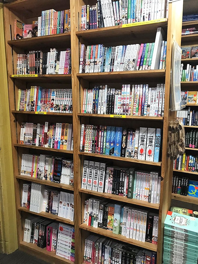 Manga mania! These colorful spines promise adventures as wild and varied as a Japanese game show, but infinitely more comprehensible.