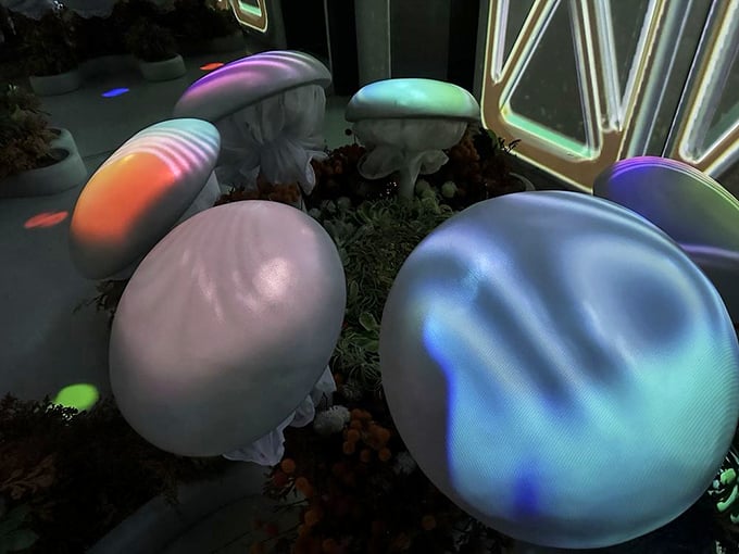 "Alice's wonderland got an upgrade! These cosmic mushrooms look ready to dispense wisdom... or maybe just giggles."