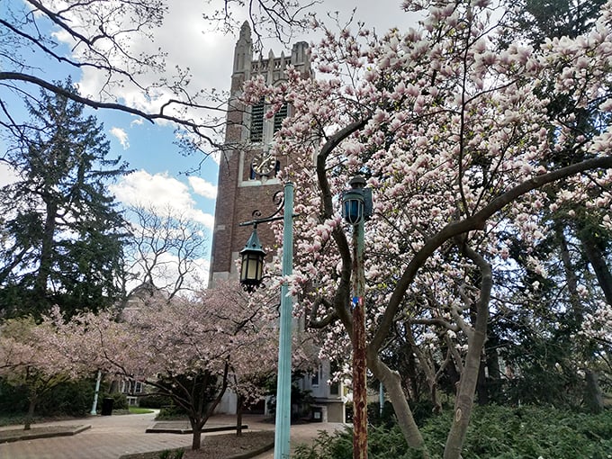 Beaumont Tower: MSU's time-keeping rockstar! This carillon serenades Spartans with the sweetest sounds this side of the Big Ten.