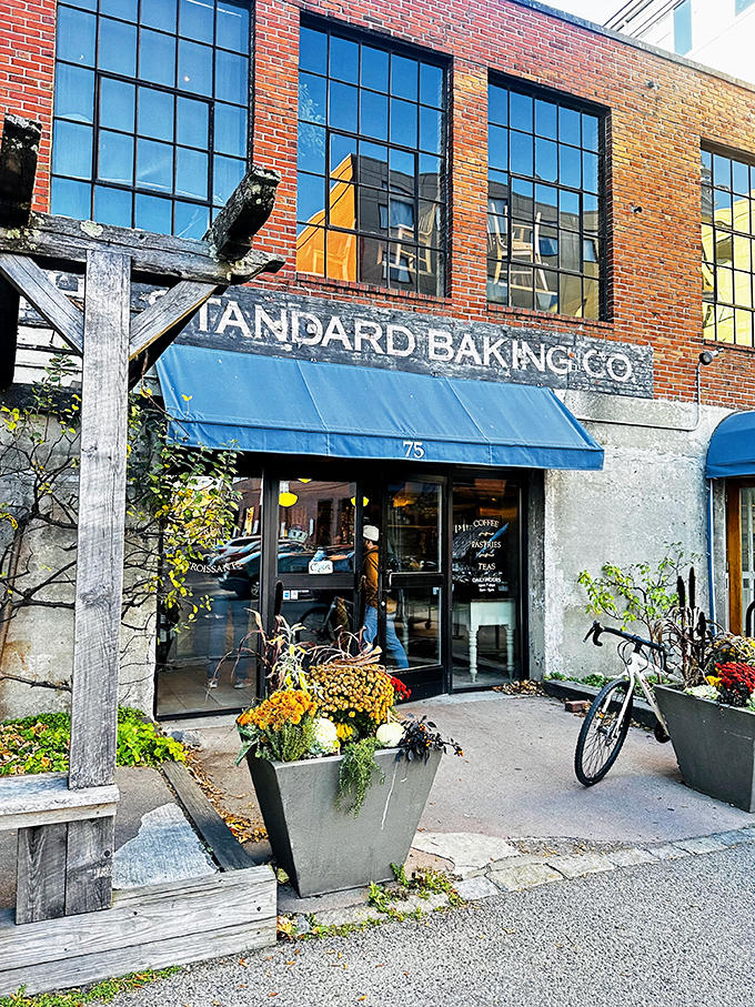 Standard? More like extraordinary! This bakery sets the gold standard for crusty, buttery perfection.