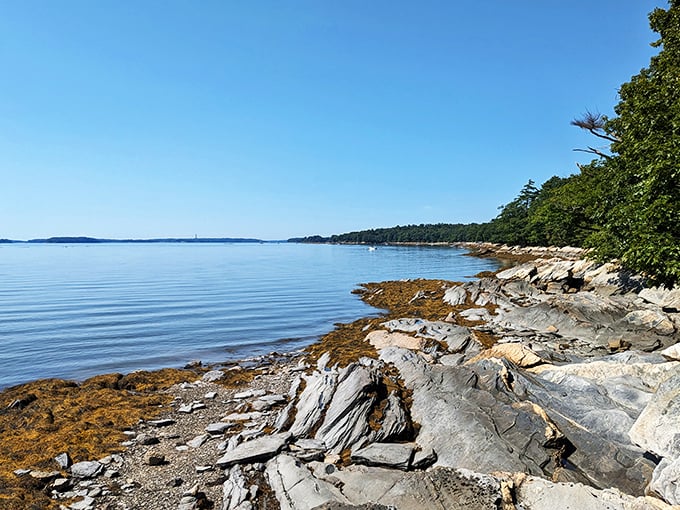 Nature's own infinity pool! Casco Bay stretches out like a shimmering blue carpet, inviting you to dive into its vastness.