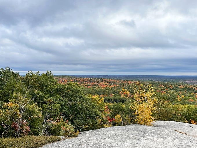 Summit selfie central! This mini-mountain delivers maximum views, perfect for impressing your Instagram followers without breaking a sweat.