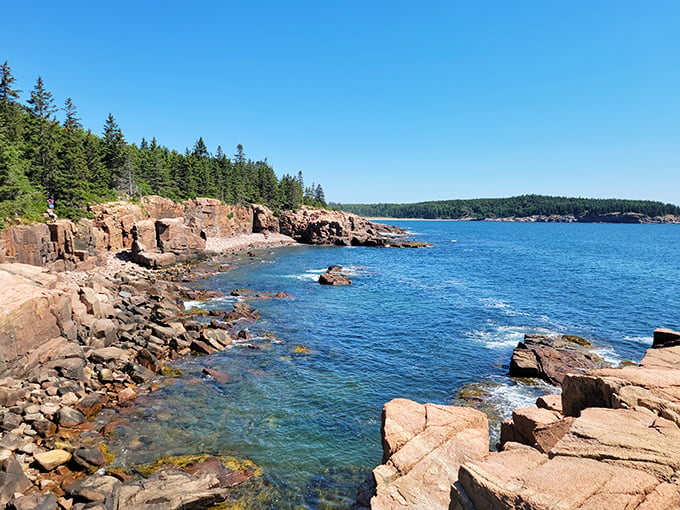 Cadillac Mountain offers front-row seats to nature's daily light show, no tickets required.