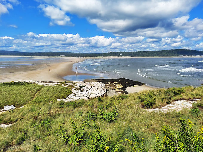 Walk on water to Fox Island! Just remember, you're no Moses – keep an eye on those tides.