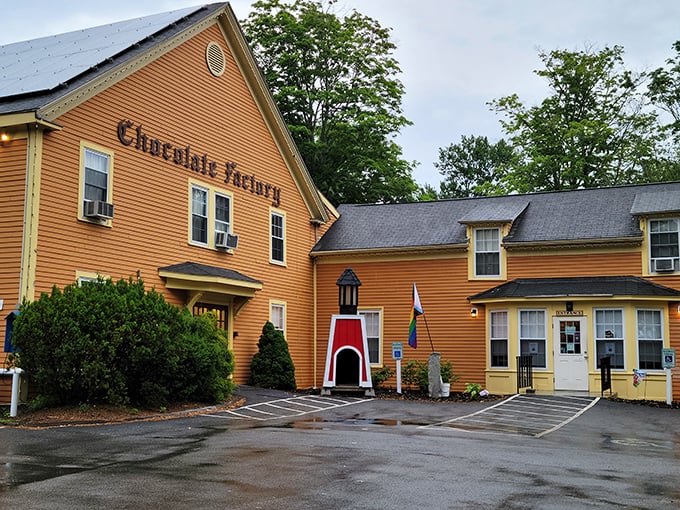 Yellow building, chocolate dreams. This place is where cocoa beans go to graduate with honors.