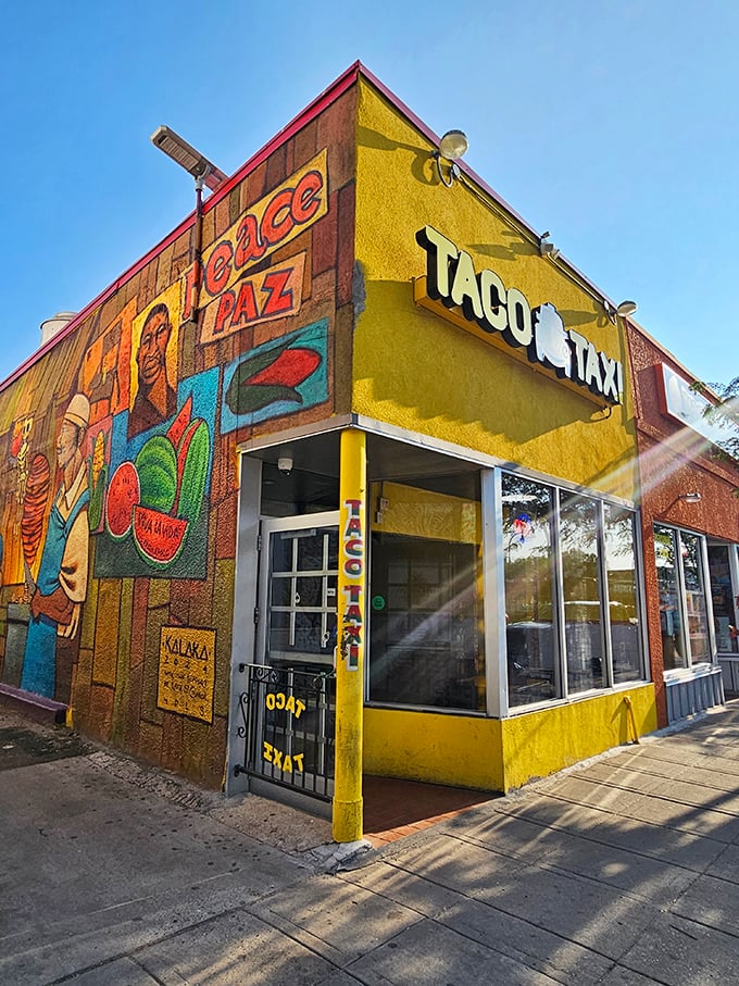 Hail the Taco Taxi! This sunny yellow food truck is like a beacon of hope for hungry souls, serving up street tacos that'll drive your taste buds wild. Photo credit: Pahola Clysdale