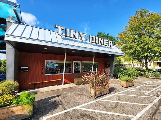 Tiny Diner: Proof that good things come in small packages! This pint-sized powerhouse serves up big flavors with a side of eco-friendliness.