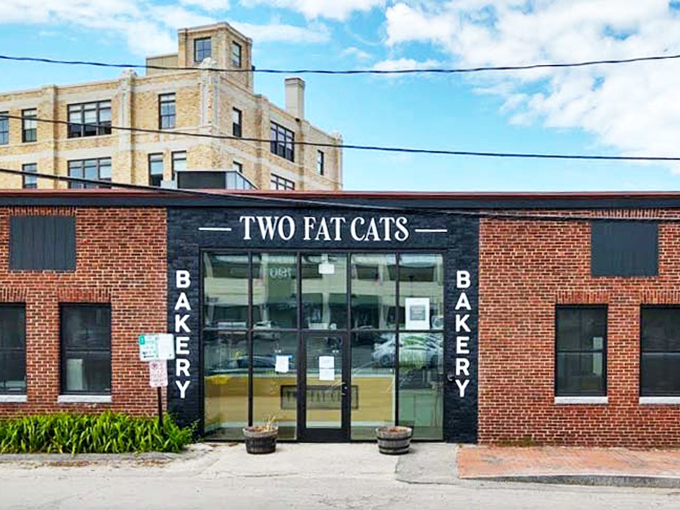 The purr-fect pit stop for pie lovers! Two Fat Cats is the feline-themed bakery you never knew you needed.