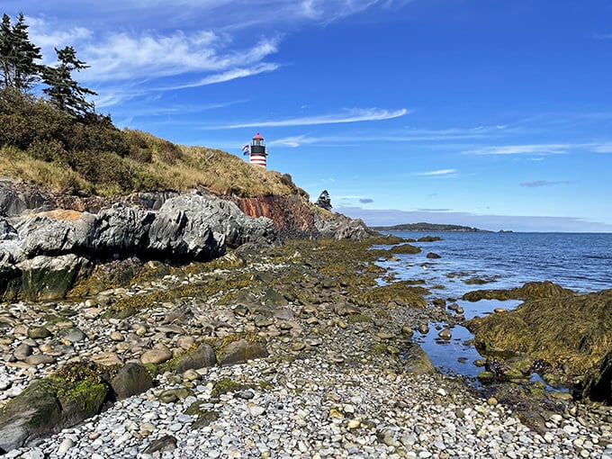 Where the road ends, adventure begins! Park your car and let the salty air and lighthouse views be your new GPS.