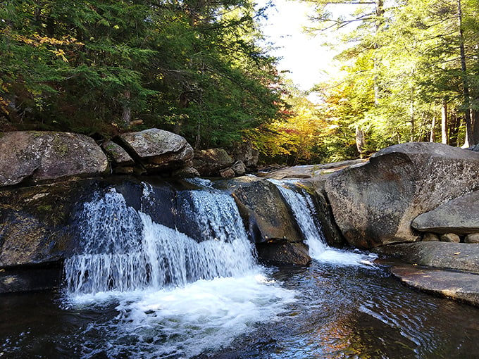 Roadside eye candy alert! Grafton Notch serves up scenic vistas faster than a drive-thru window.