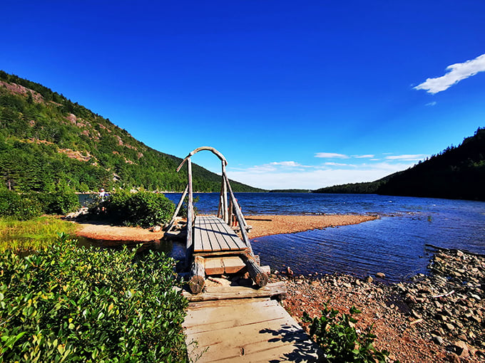 The road trip promised land! Acadia's Park Loop Road is like a highlight reel of Maine's best scenery.