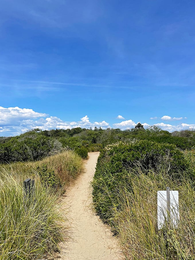 Ocean drive meets beach retreat! Trade your car seat for a beach towel at this coastal paradise.