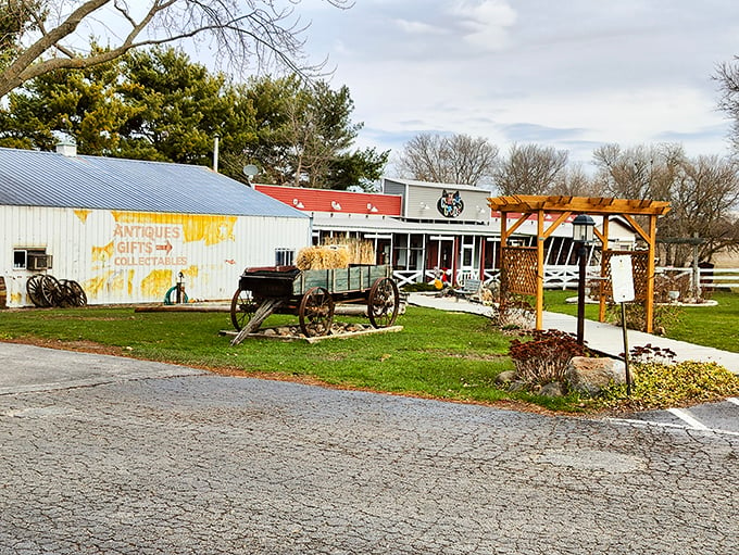 Rustic on the outside, flavor explosion on the inside! Hank's is the tasty time machine you didn't know you needed.