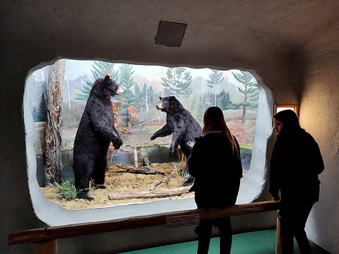 "Do you think they can see us?" These visitors are getting a bear's eye view of life in the wild.