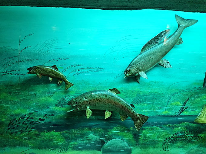 Something's fishy here, and it's not just the decor. These underwater acrobats are putting on quite the show!