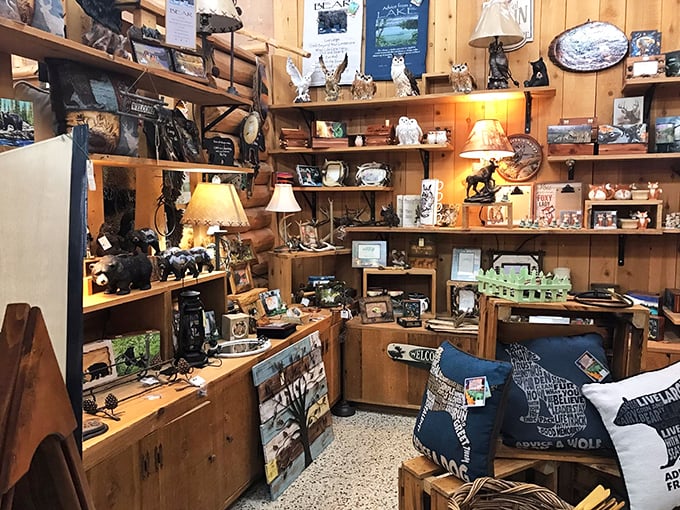 Curio cabinet meets Cabela's in this cozy corner. It's a treasure trove for nature lovers and tchotchke enthusiasts alike.