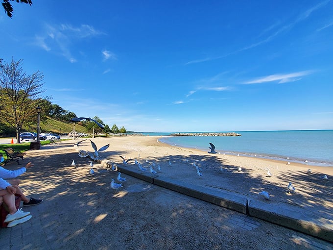 Where the North Shore elite meet to beat the heat. It's like a country club, but with more sand and fewer golf carts. 