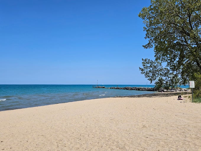 Where green meets blue in a spectacular showdown. It's like Central Park took a beach vacation and decided to stay for the summer. 