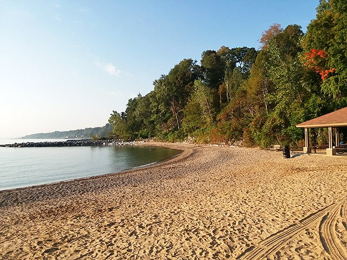 Where morning people become beach people. It's like waking up in a postcard, but with less paper and more sand between your toes. 